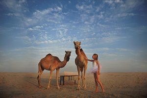 A girl in a tutu with camels in the Abu Dhabi desert